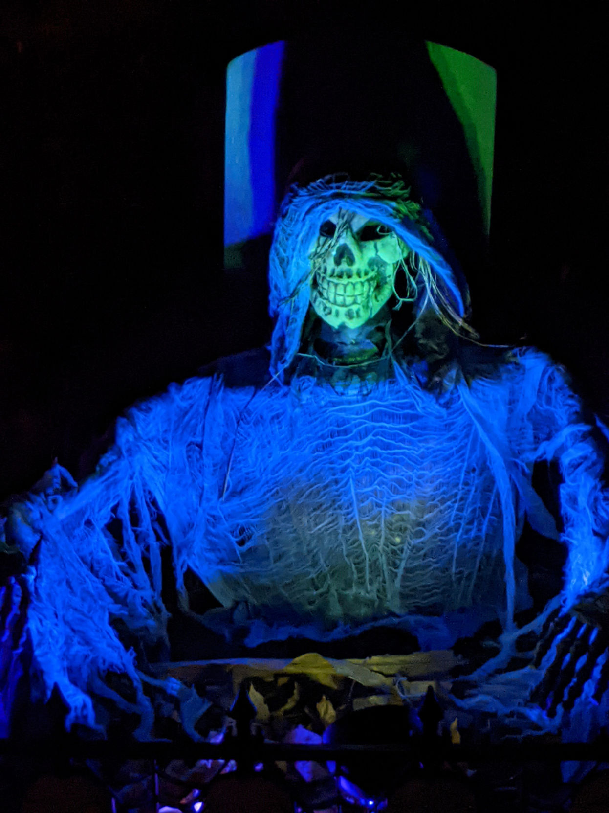 Halloween house 3517 16th Avenue.jpg